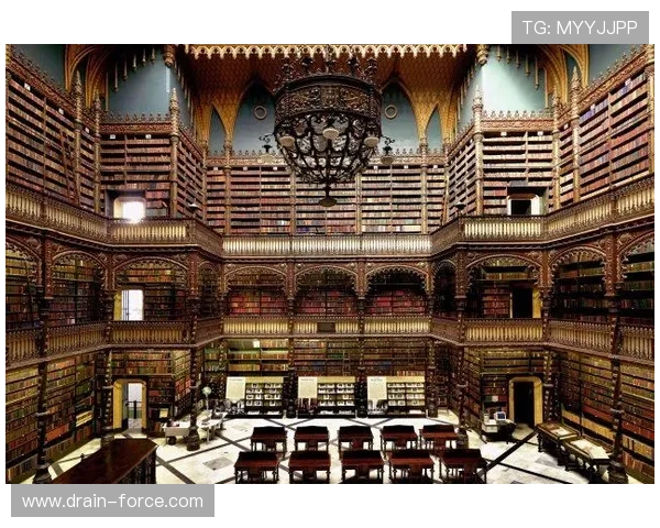 尊龙d88新版官网下载入口，快速便捷的官方渠道推荐指南