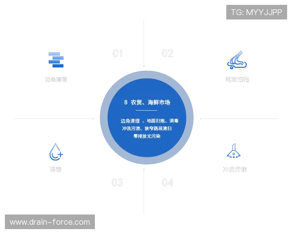 解锁z6尊龙官网入口的独特优势与用户分享